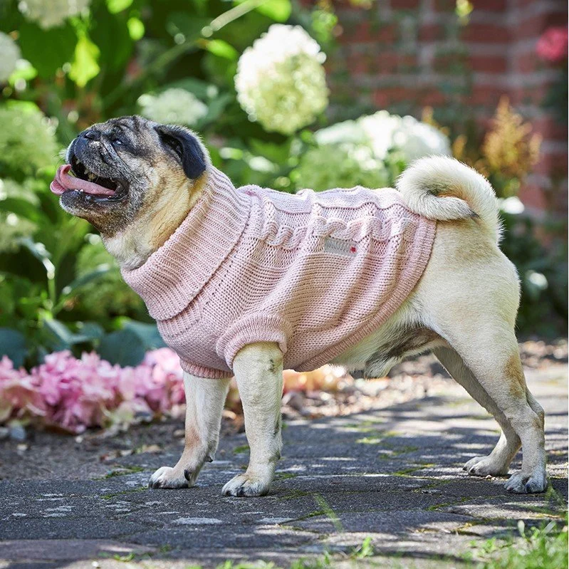 Wolters Zopf-Strickpullover für Mops und Co - Image 2