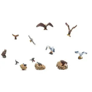 Woodland Vögel mit Nestern 15 Stück - HaustierPro