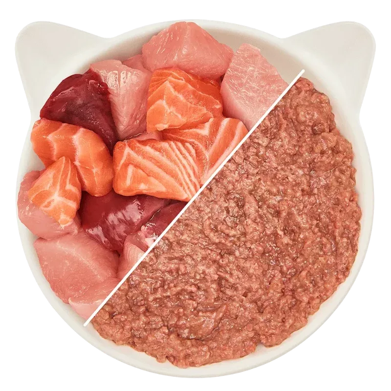 Wow Cat Dose Adult Huhn & Lachs 400g - Image 2