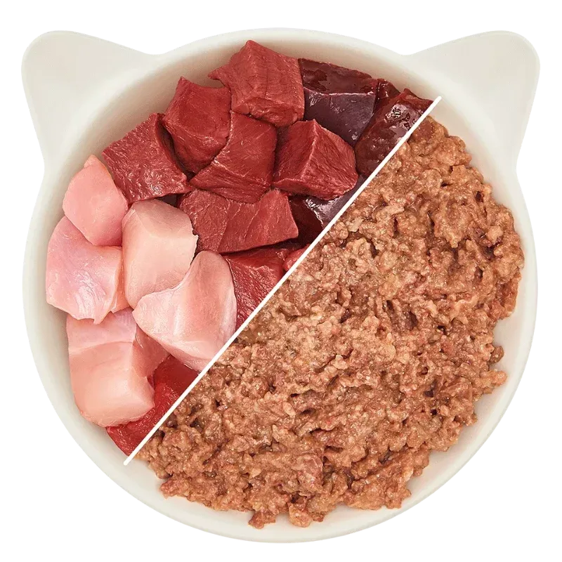 Wow Cat Dose Adult Rind & Pute 200g - Image 2