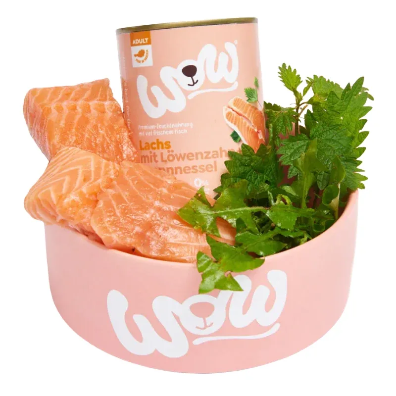 Wow Dog Dose Adult Lachs 400g - Image 2