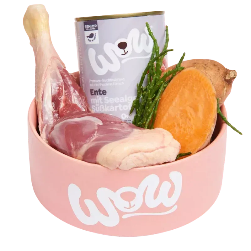 Wow Dog Dose Senior Ente 400g - Image 2