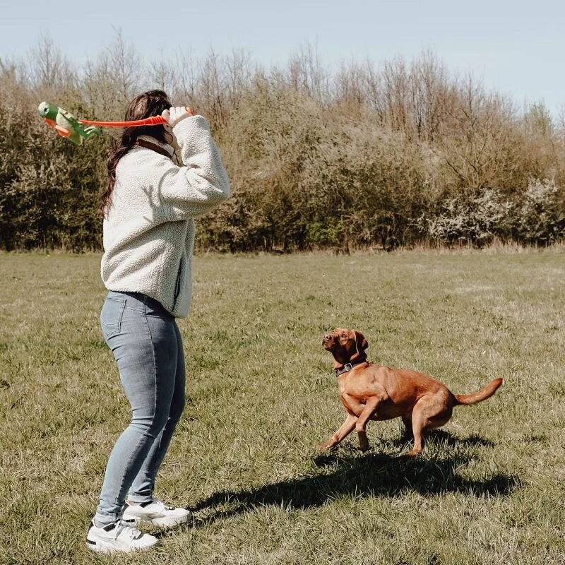 Wurf Hundespielzeug FLINGERZ™ - Image 2