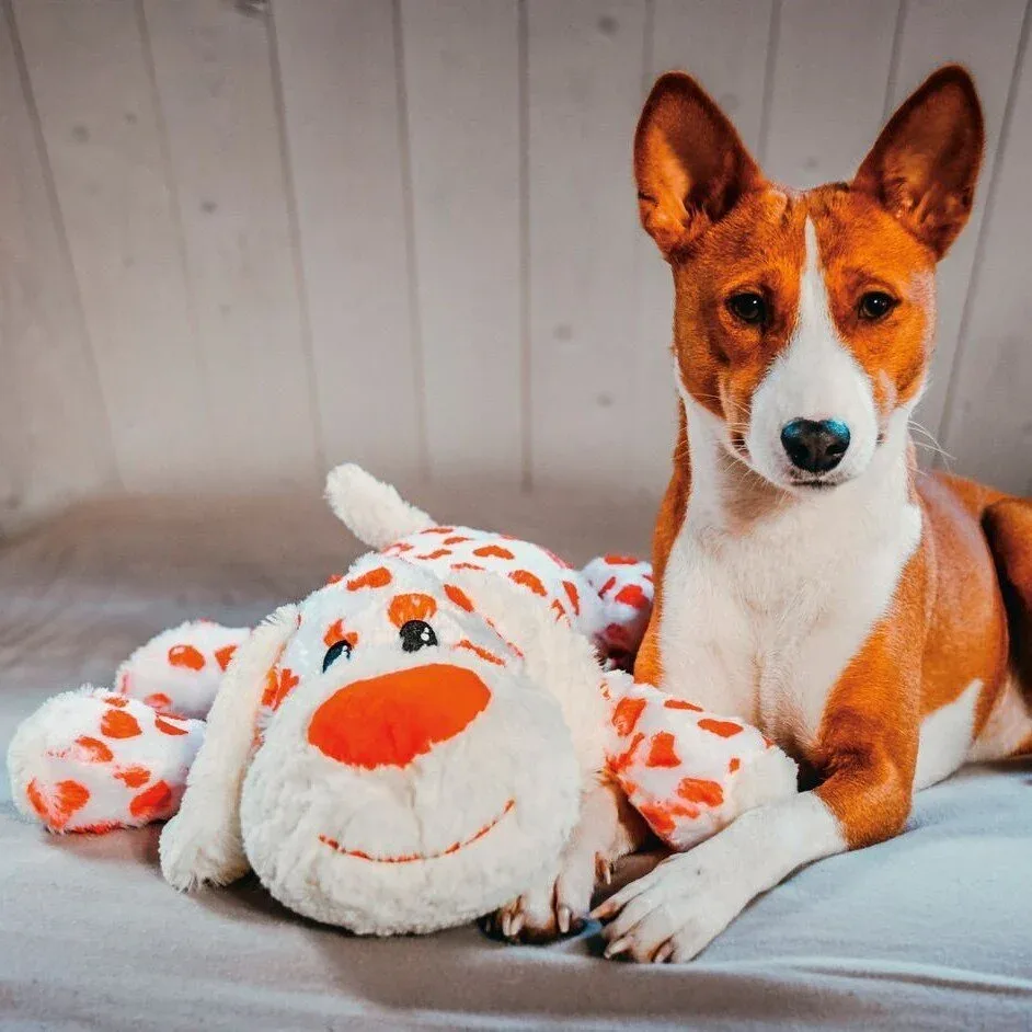 XL Hundespielzeug Knuffel Suki mit Sound - Image 2