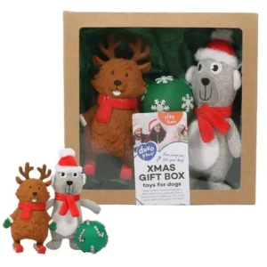XMAS Geschenkbox für Hunde