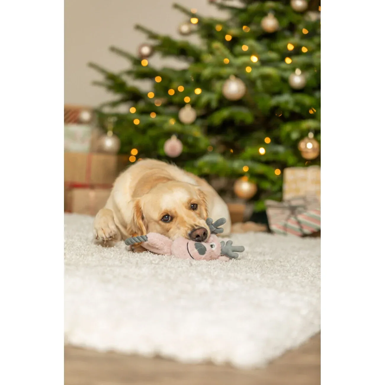Xmas Weihnachten Rentier mit Tau aus Softplüsch Hundespielzeug - Image 2