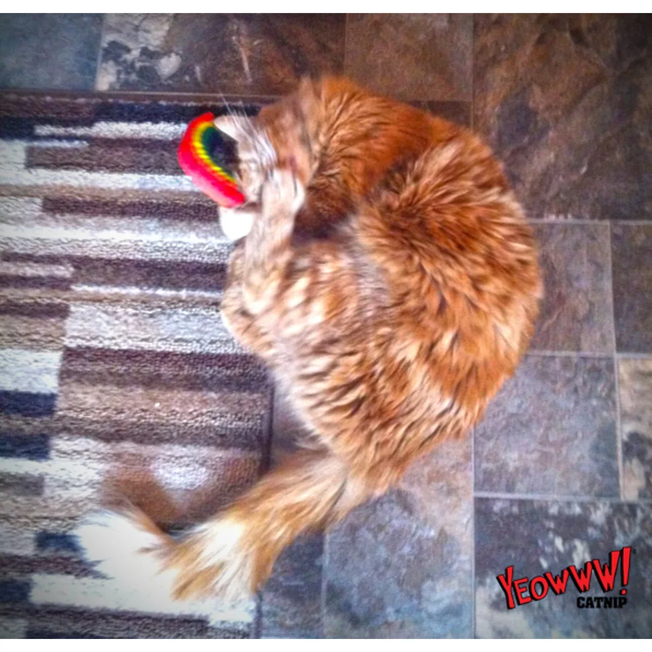 Yeowww! Rainbow Katzenspielzeug - Image 2