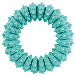 Zahnpflege Hundespielzeug Ring