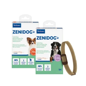 Zenidog Halsband | Hund