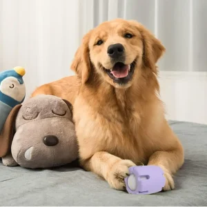 Zerr FetchFun™ – Tennis-Hundekauspielzeug für endlosen, aktiven Spielspaß [50% Rabatt] - HaustierPro