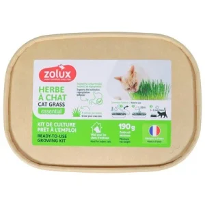 Zolux Katzengras