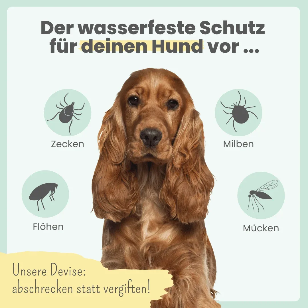 Zpot-on für Hunde gegen Zecken, Flöhe, Milben & Mücken - Image 2