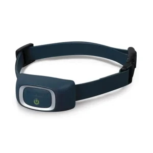 Zusatzhalsband »Standard« PetSafe Hunde Ferntrainer - HaustierPro